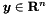 $ \boldsymbol y \in \mathbf R^n $