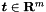 $ \boldsymbol t \in \mathbf R^{m} $